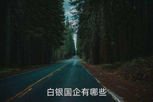 白銀國企有哪些