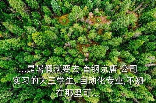 秦皇島首鋼自動化公司招聘
