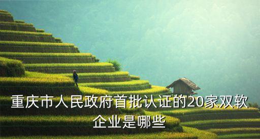 重慶市人民政府首批認(rèn)證的20家雙軟企業(yè)是哪些