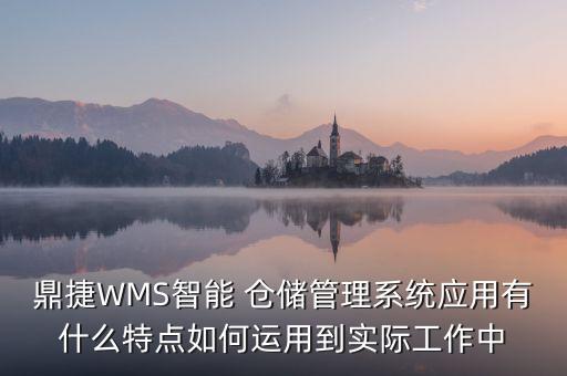 鼎捷WMS智能 倉儲管理系統(tǒng)應用有什么特點如何運用到實際工作中