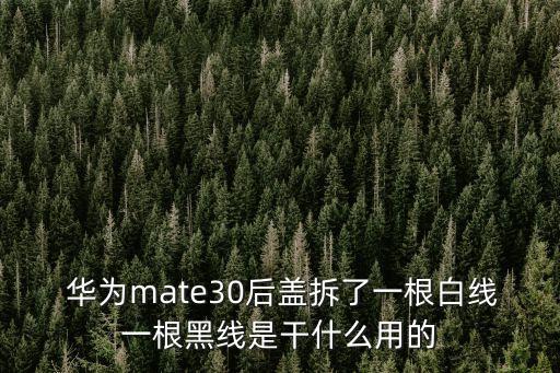 數據線拆解華為,華為66w數據線拆解