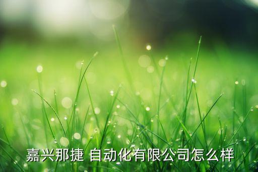 嘉興輸送自動(dòng)化設(shè)備,嘉興立晟自動(dòng)化設(shè)備有限公司