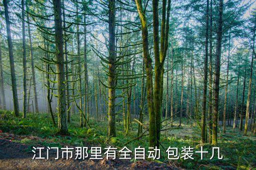 江門市那里有全自動(dòng) 包裝十幾