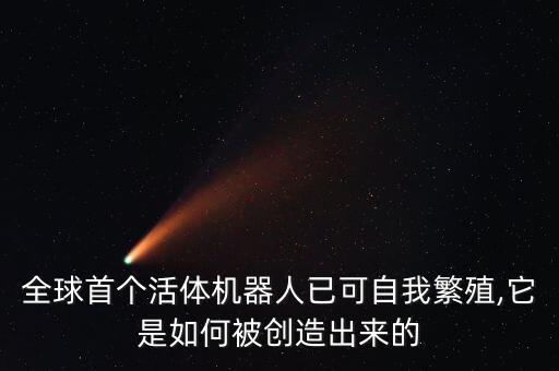 全球首個活體機(jī)器人已可自我繁殖,它是如何被創(chuàng)造出來的