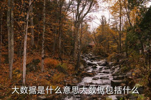 大數(shù)據(jù)是什么意思大數(shù)據(jù)包括什么