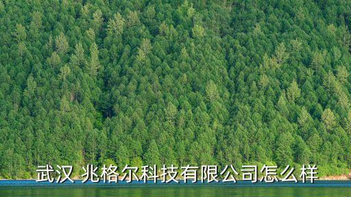 武漢兆格自動化設(shè)備,武漢先惠自動化設(shè)備有限公司
