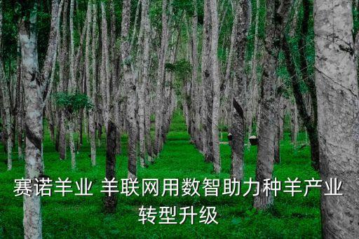 賽諾羊業(yè) 羊聯(lián)網(wǎng)用數(shù)智助力種羊產(chǎn)業(yè)轉(zhuǎn)型升級