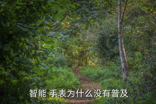  智能 手表為什么沒(méi)有普及