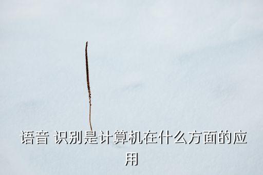  語音 識別是計(jì)算機(jī)在什么方面的應(yīng)用