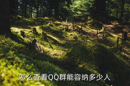 怎么查看QQ群能容納多少人