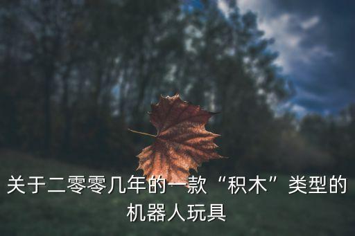 關(guān)于二零零幾年的一款“積木”類型的機器人玩具
