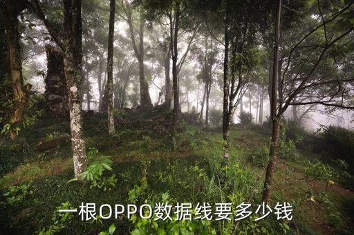 oppoa數(shù)據(jù)線拆,數(shù)據(jù)線你知道多少?