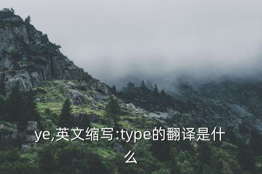tpye,英文縮寫(xiě):type的翻譯是什么?