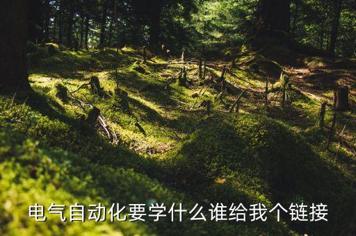 電氣自動(dòng)化百度云盤,電氣自動(dòng)化考研科目:數(shù)學(xué)一、政治英語