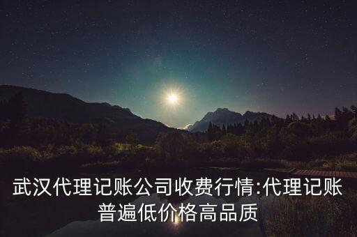 武漢代理記賬公司收費(fèi)行情:代理記賬普遍低價(jià)格高品質(zhì)