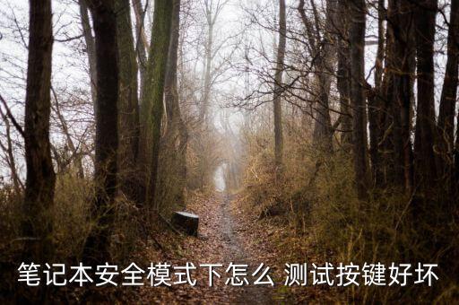 自動化鍵盤測試設(shè)備朋克