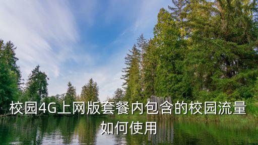 校園數(shù)據(jù)流量怎么用,中國(guó)移動(dòng)校園流量怎么用
