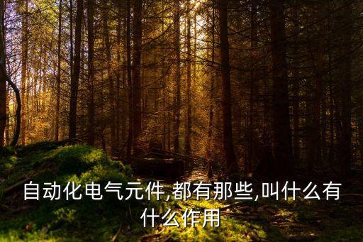 自動(dòng)化電氣元件,都有那些,叫什么有什么作用
