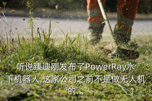 聽說(shuō)臻迪剛發(fā)布了PowerRay水下機(jī)器人,這家公司之前不是做無(wú)人機(jī)的...