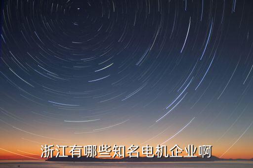 浙江有哪些知名電機企業(yè)啊
