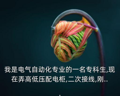 電氣自動化識圖接線,電氣原理圖與接線圖有什么區(qū)別?