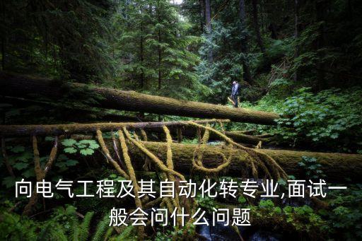 南京卓勝自動化設(shè)備面試,電氣自動化專業(yè)畢業(yè)生怎么辦?