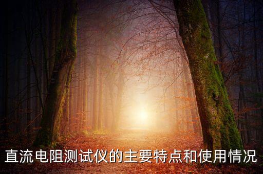 直流電阻測(cè)試儀的主要特點(diǎn)和使用情況