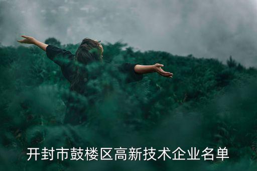 開封市鼓樓區(qū)高新技術(shù)企業(yè)名單
