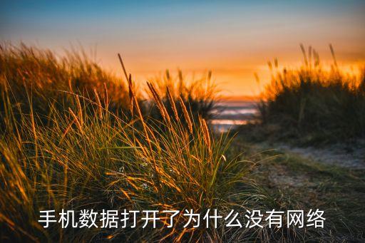 為啥開著數(shù)據(jù)卻不管用?,為什么數(shù)據(jù)開著用不了?一文看懂