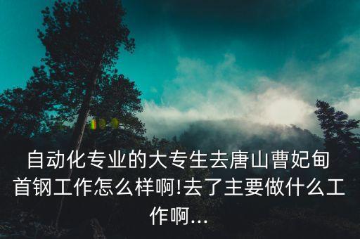 自動化專業(yè)的大專生去唐山曹妃甸 首鋼工作怎么樣啊!去了主要做什么工作啊...