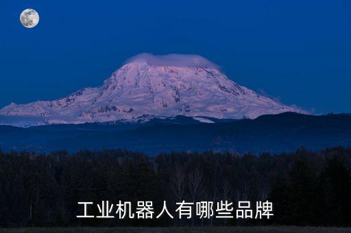 工業(yè)機器人有哪些品牌