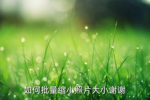 如何批量縮小照片大小謝謝