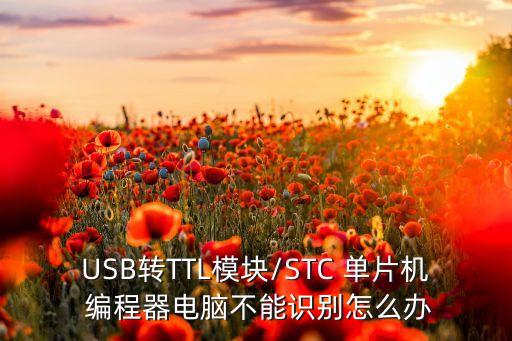 USB轉(zhuǎn)TTL模塊/STC 單片機(jī) 編程器電腦不能識(shí)別怎么辦