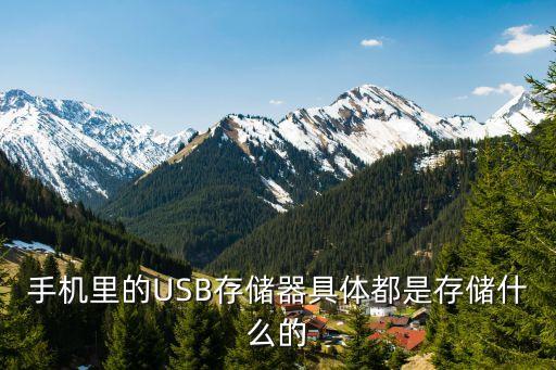 手機(jī)usb數(shù)據(jù)存儲(chǔ),手機(jī)和電腦怎么連接?一文看懂