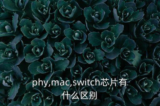 phy,mac,switch芯片有什么區(qū)別