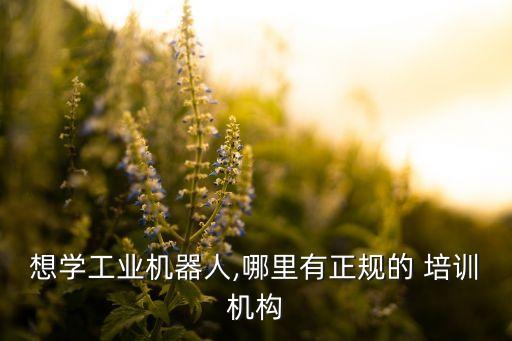 想學(xué)工業(yè)機(jī)器人,哪里有正規(guī)的 培訓(xùn)機(jī)構(gòu)