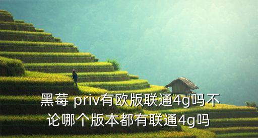 黑莓priv用什么數(shù)據(jù)線