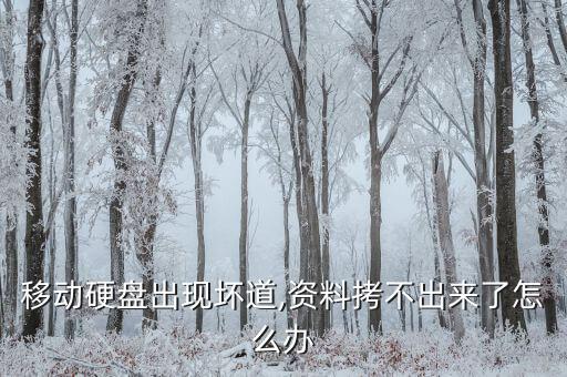 有壞道提示磁盤錯誤備份數(shù)據(jù),如何備份和修復(fù)硬盤?
