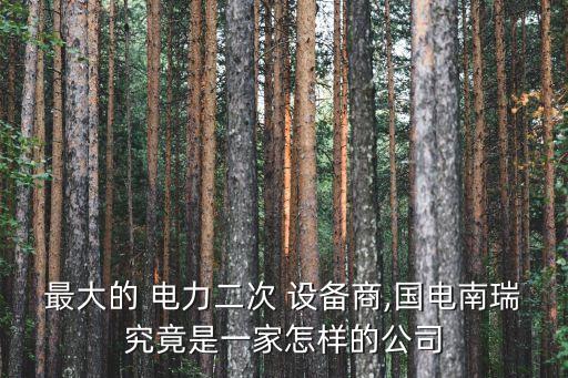 最大的 電力二次 設(shè)備商,國(guó)電南瑞究竟是一家怎樣的公司