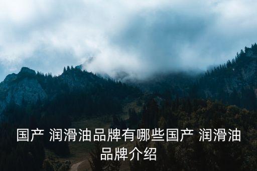 自動化潤滑油公司簡介范文