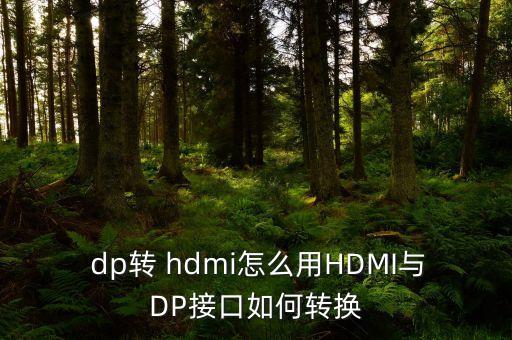 hdmi轉(zhuǎn)dp線,HDMI轉(zhuǎn)dp線怎么那么貴