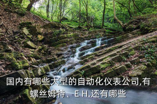 國(guó)內(nèi)有哪些大型的自動(dòng)化儀表公司,有螺絲姆特、E H.還有哪些