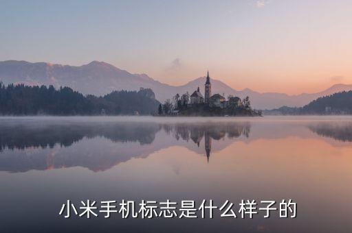  小米手機(jī)標(biāo)志是什么樣子的