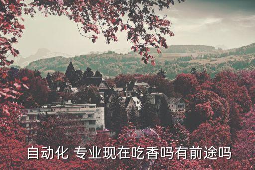  自動(dòng)化 專(zhuān)業(yè)現(xiàn)在吃香嗎有前途嗎