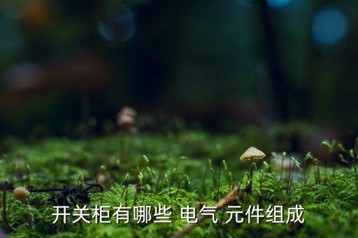 電氣自動(dòng)化常用的電器元件