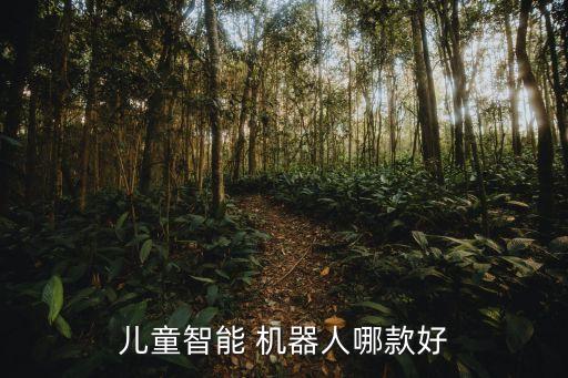 小度教育機器人,碼高機器人教育怎么樣