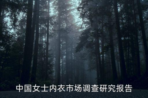 中國女士內(nèi)衣市場調(diào)查研究報告