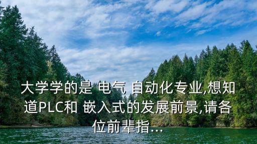 大學(xué)學(xué)的是 電氣 自動(dòng)化專業(yè),想知道PLC和 嵌入式的發(fā)展前景,請各位前輩指...