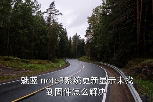  魅藍(lán) note3系統(tǒng)更新顯示未找到固件怎么解決