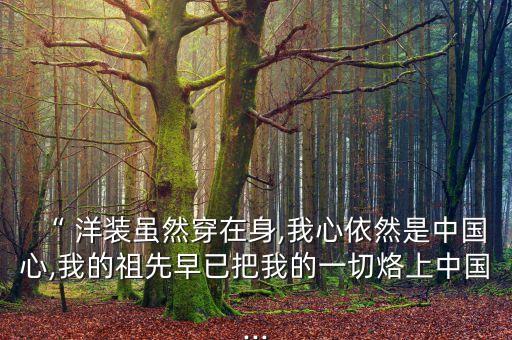 洋裝雖然穿在身,洋裝雖然穿在身我心依然是中國心